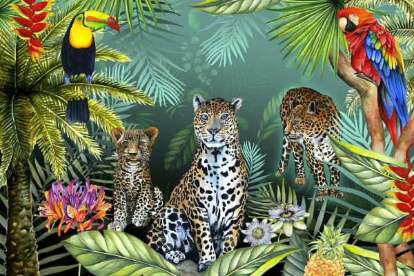 Licenza: CC0 | Crediti: CC0