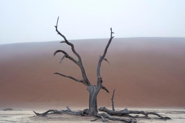 Ph: Paolo Pellegrin, Namibia 2022 © Paolo Pellegrin/Magnum Photos