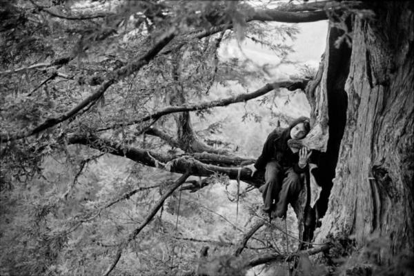 Ph: Stuart Franklin, California USA,1998 © Stuart Franklin/Magnum Photos
