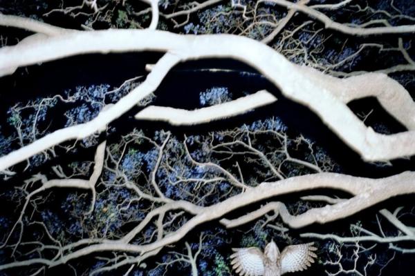 Ph: Trent Parke, Newcastle, New South Wales, Australia, 2006 © Trent Parke/Magnum Photos