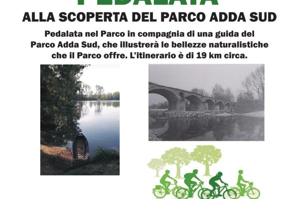 Licenza: CC0 | Crediti: CC0