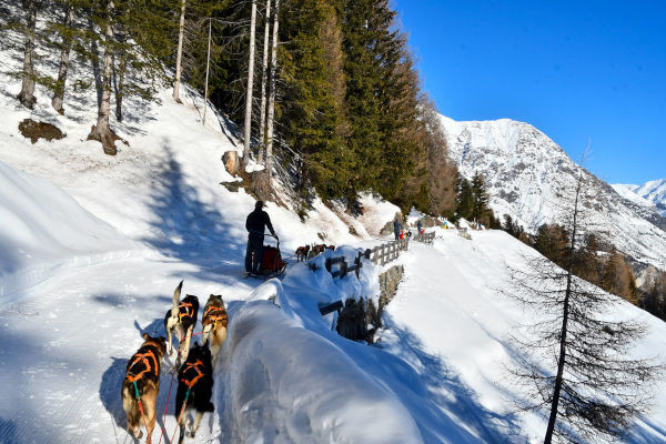 Sleddog Husky Villege (ph: huskyvillage.it)