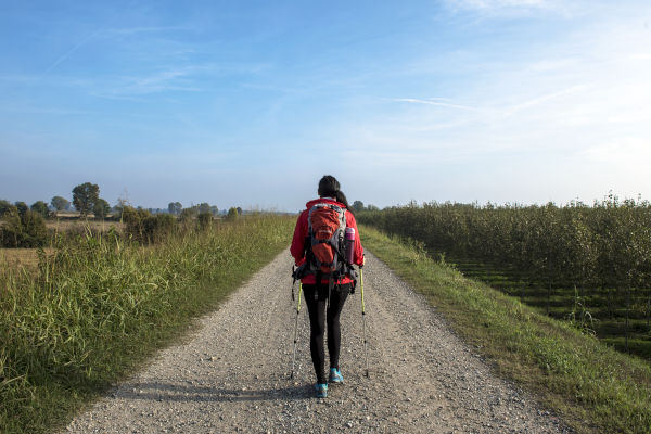 Tratto della Via Francigena