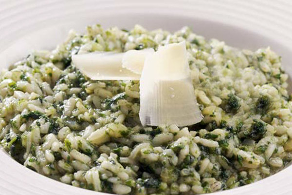 "Wild" risotto with hop shoots