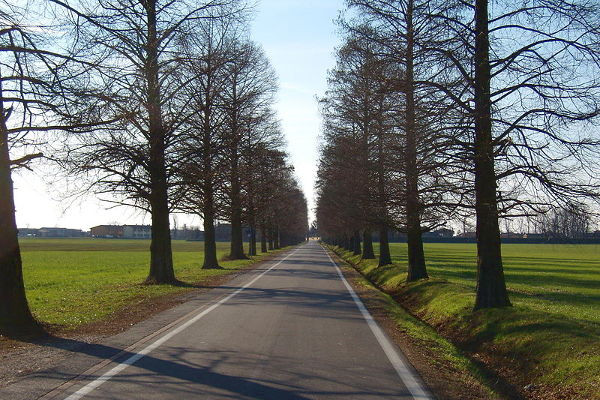 Viale d’accesso a Gradella, Pandino (CR)