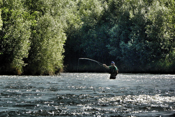 Fly Fishing (Foto di UPS Sondrio)