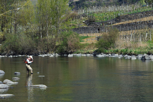 Fly Fishing (Foto di UPS Sondrio)