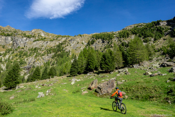 Val Fontana Alpe Campiascio