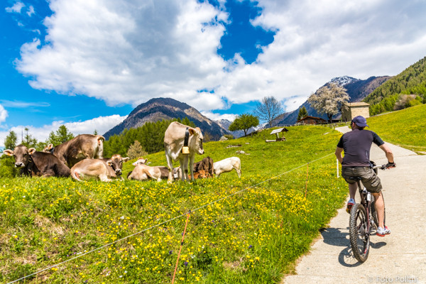 Arrivo all'alpe Carnale