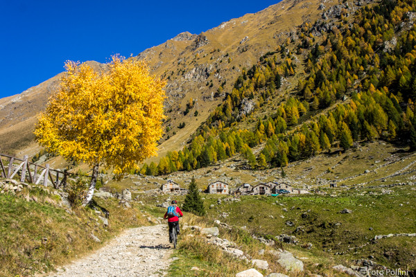 Arrivo all'Alpe Caldenno