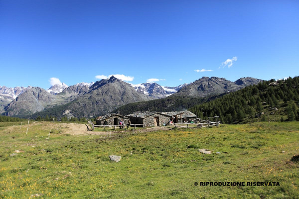 Alpe Acquanera