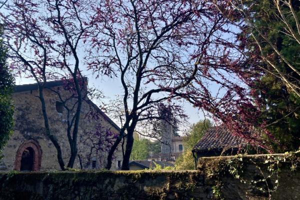 Scorcio di Velate (Ph. Gamberoni)