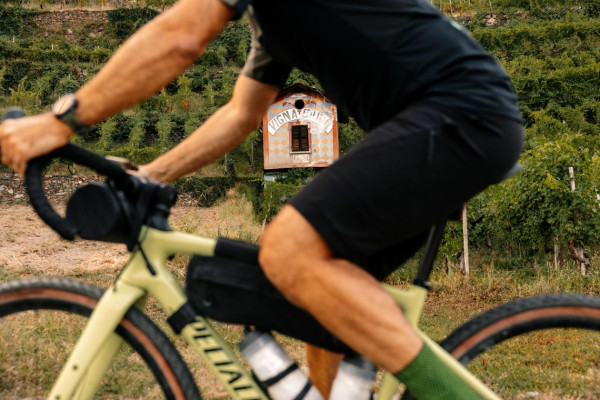 bici in vigna