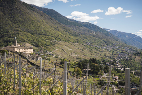 terrazzamenti di Sondrio