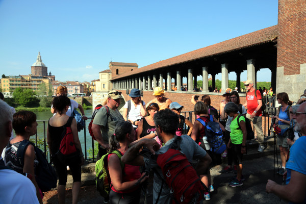 Pavia