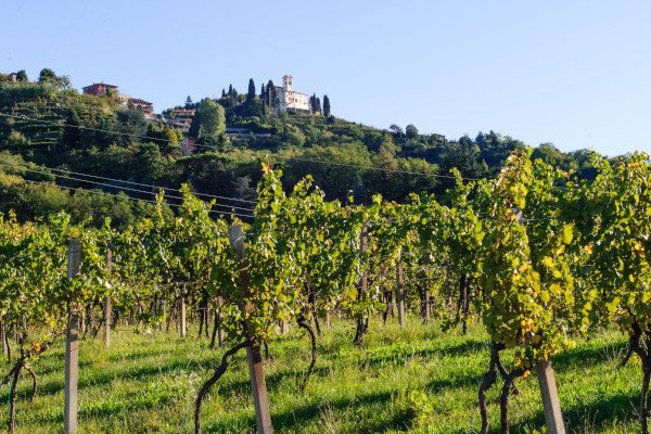 Escursione sensoriale e aperitivo (Parco del Curone, LC)