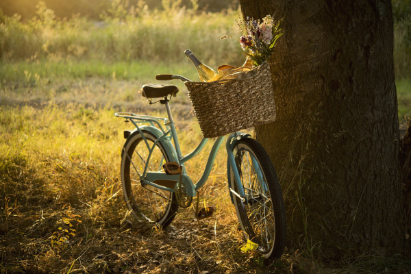 1.Cascine cremonesi (CR)