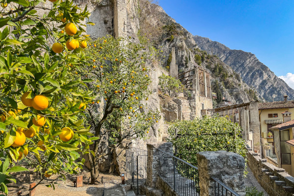 Limonaia sotto le stelle (Limone sul Garda, BS)