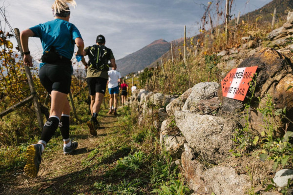 Sondrio città del vino - Wine trail family (Sondrio) Sondrio città del vino - Wine trail family (Sondrio)