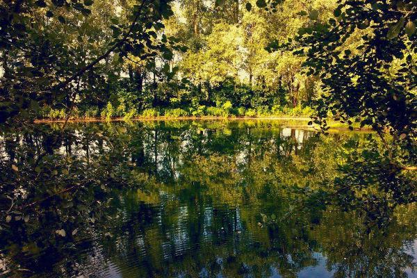 Parco Ittico Paradiso di Zelo Buon Persico (LO) 