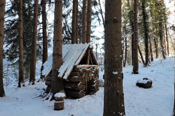 Sentiero dello Spirito del bosco (LC) - (Ph: vitadasani.it)