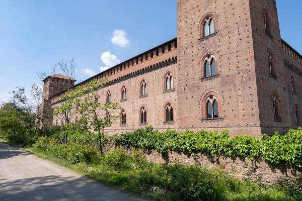 Aperitivi alla mostra (Pavia)