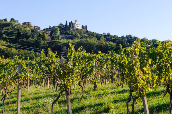 Montevecchia da bere (Montevecchia, LC)