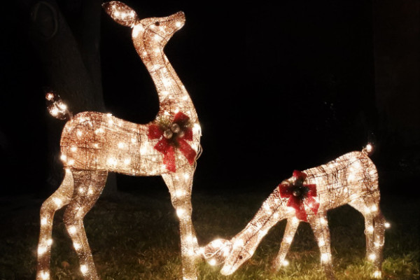 Lucine di Natale (Leggiuno, VA)