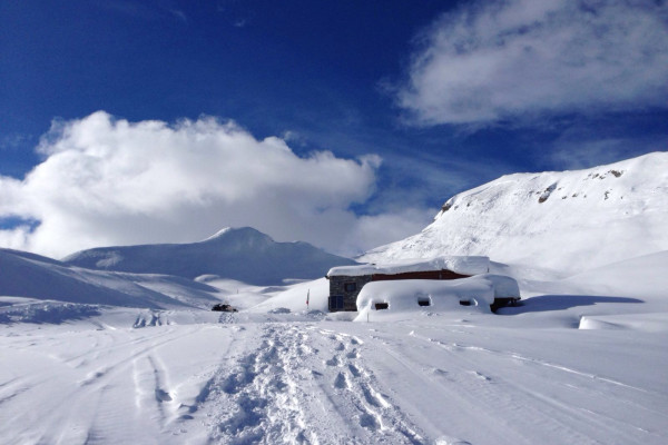 Tra Val di Scalve e Camonica un Campione d'amore