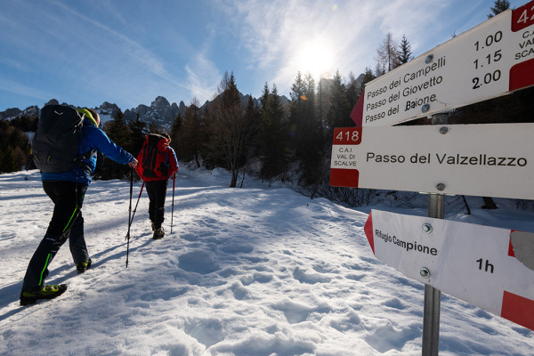 Tra Val di Scalve e Camonica un Campione d'amore