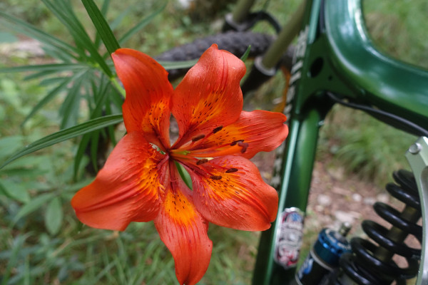 Dal fiume Serio in bici fino al Rifugio Santamaria