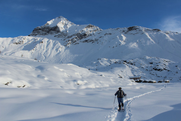 Dal Rifugio Zoia il Tour dei 3 Rifugi 