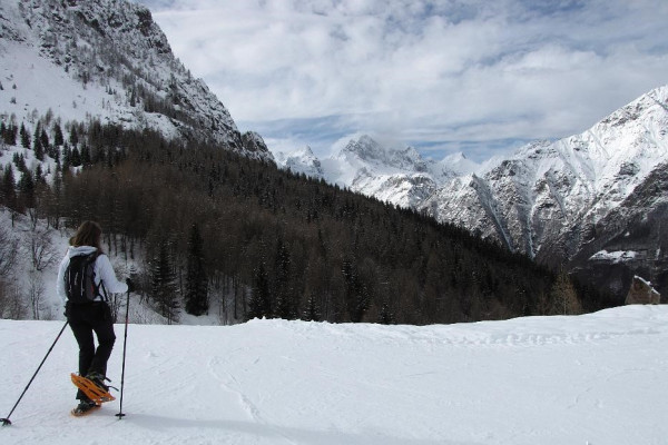 Da Lizzola ai Rifugi Campel e Mirtillo 