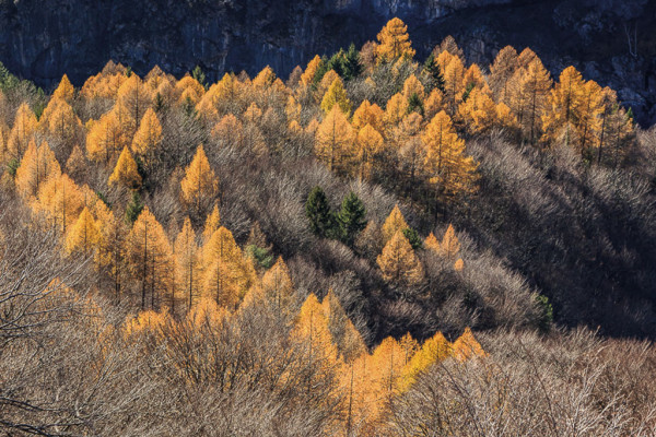 A Valsolda, sulla via dei Canti