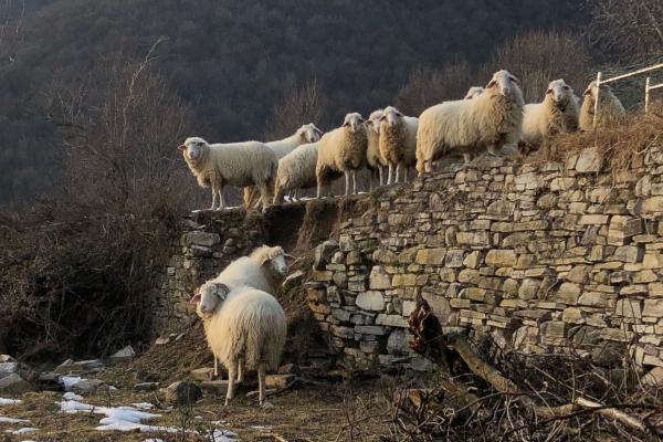 Al RIf. Bugone, tra scorci di lago
