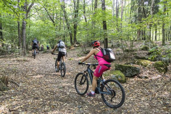 Sull'anello "Festival Ride"