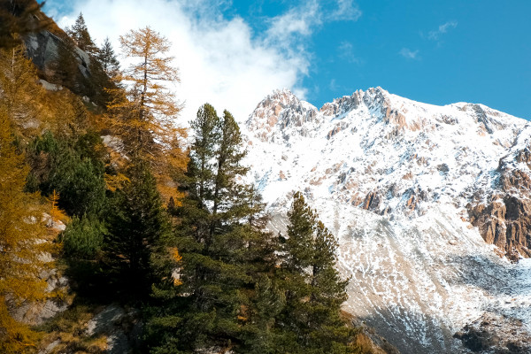 La colorata piana di Preda Rossa