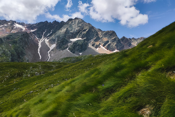 La Valle delle Messi