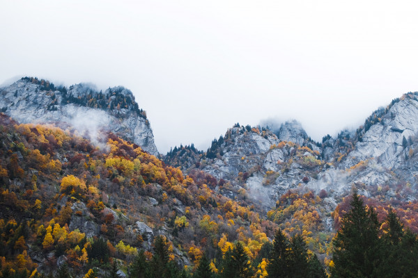 In Valtellina, nella foresta del Gigiàt