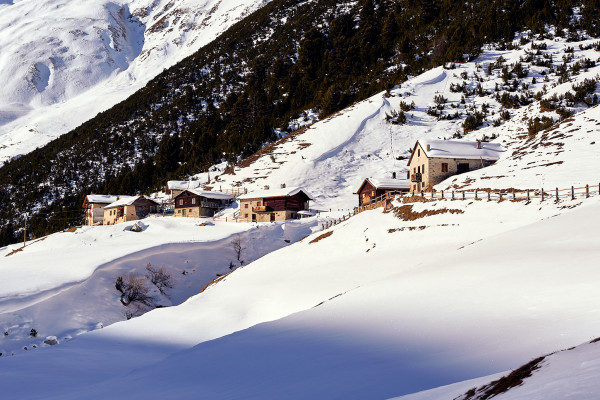 Lungo le Tee, nella valle delle pecore