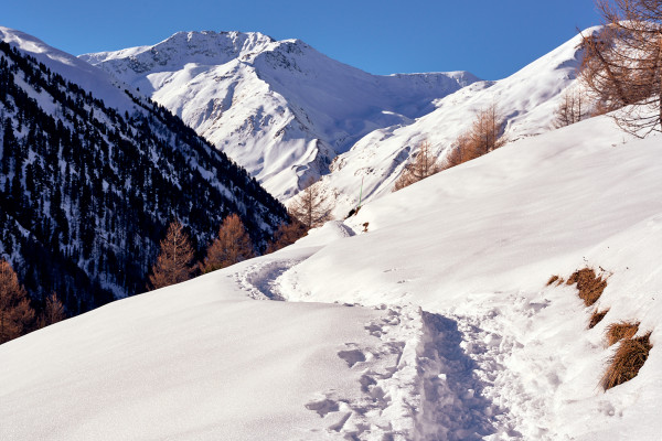 Lungo le Tee, nella valle delle pecore