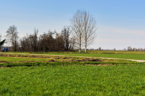 Scoprendo la pianura cremasca, pedalando nelle aree del Parco del Serio