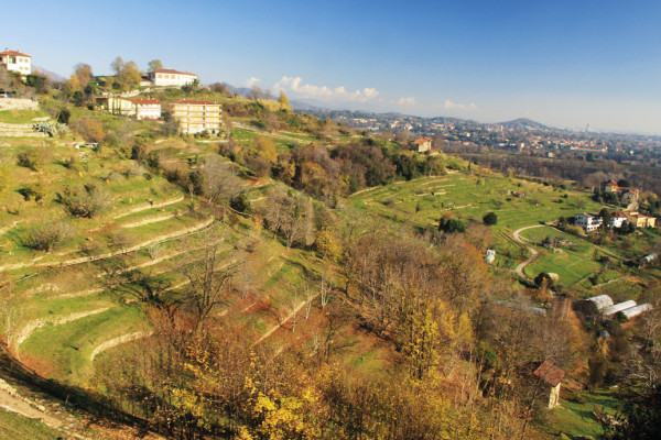 Grande anello del Parco del Curone