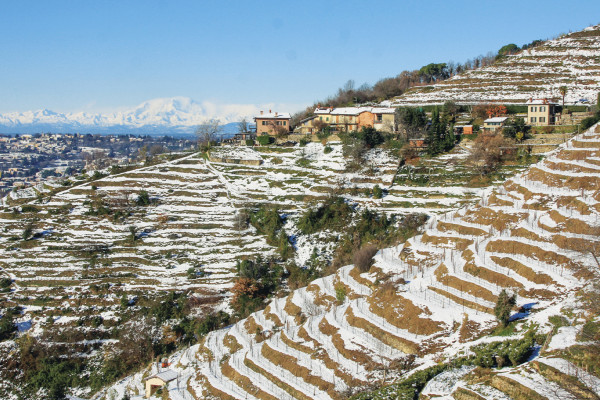 Grande anello del Parco del Curone