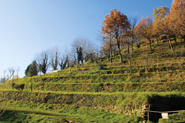 Grande anello del Parco del Curone