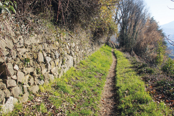 Monte di Brianza da Olgiate Molgora