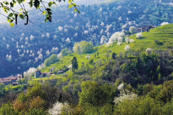 Monte di Brianza da Olgiate Molgora