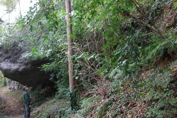 Masso erratico sul percorso