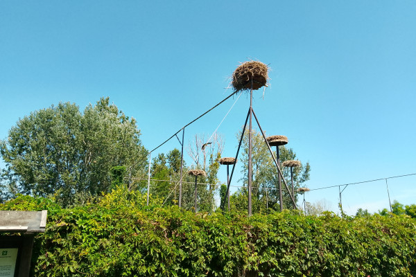 Centro Cicogne