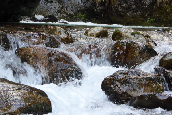 The river Sanagra